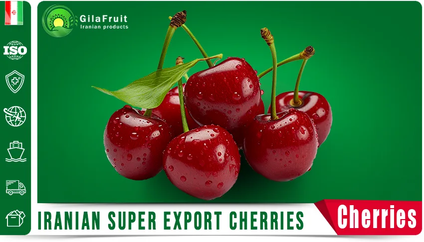 Premium Mazafati dates